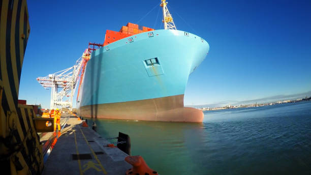istock Container Ship Moored At Harbor Against Clear Sky 1058435432