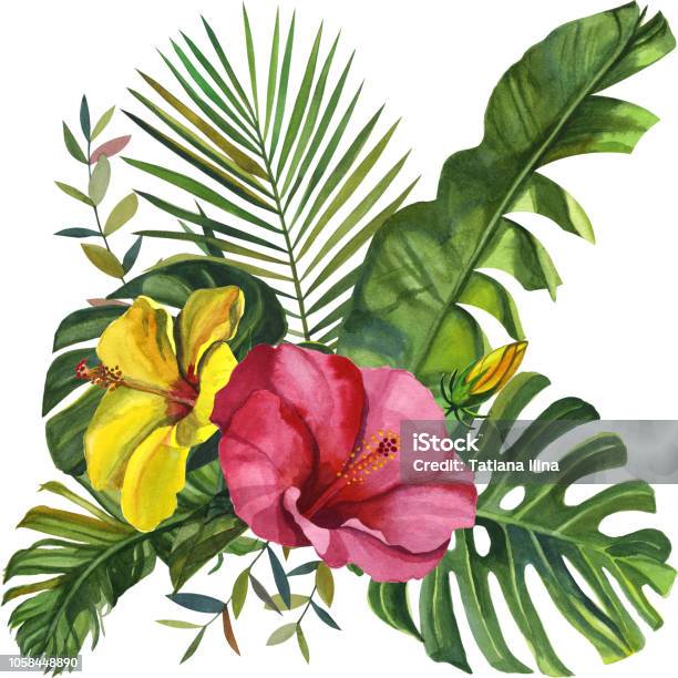 Watercolor Tropical Wildlife Beautiful Cards Hand Drawn Jungle Nature Hibiscus Flowers Illustration Stock Illustration - Download Image Now