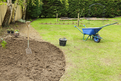 Preparing a freshly dug flower bed for planting in a garden with fork and wheelbarrow