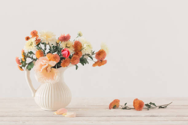 istock still life with  chrysanthemum on white background 1058454444