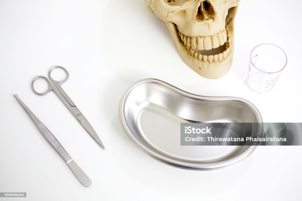 Medical Equipments Concept Fake Skull Scissors And Sterile Tray Stock Photo  - Download Image Now - iStock