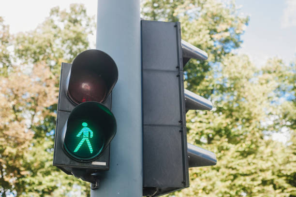 istock Low Angle View Of Road Signal Against Trees 1058457386