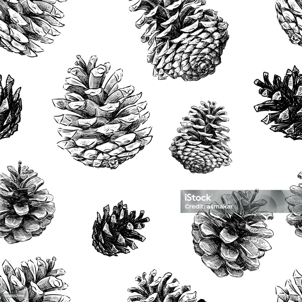 Seamless pattern of sketches of fir cones Vector background of ripe pine cones. Pine Cone stock vector