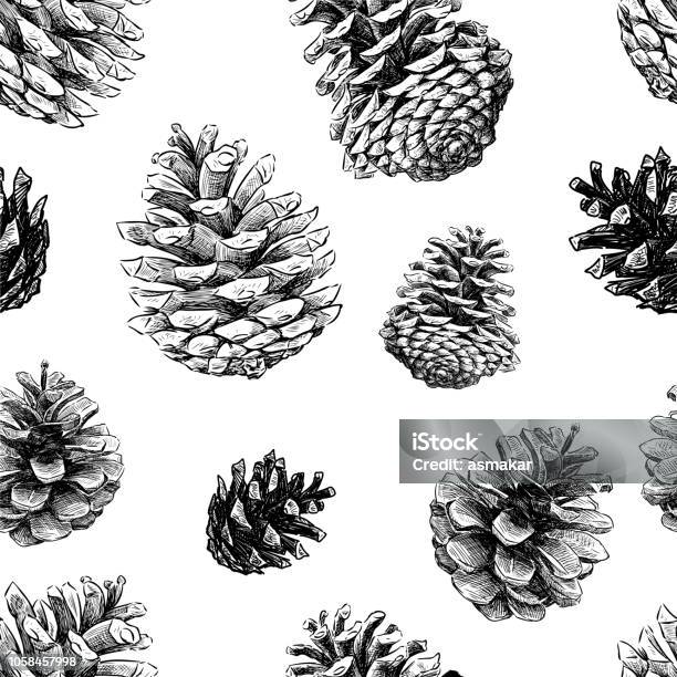 Seamless Pattern Of Sketches Of Fir Cones Stock Illustration - Download Image Now - Pine Cone, Illustration, Seamless Pattern