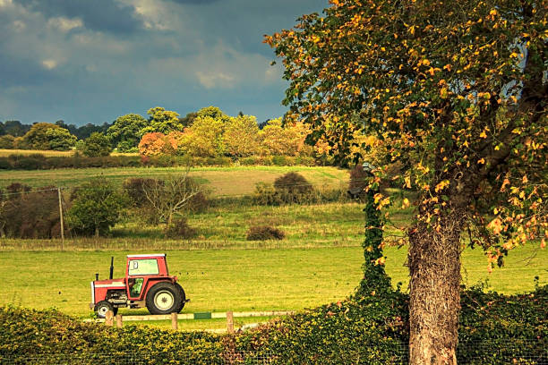 istock Beautiful rural landscape 1058458026