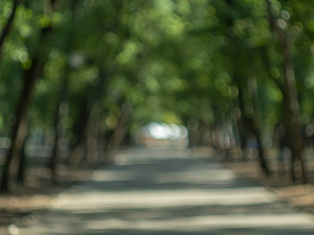 istock Blurred view of alley with old trees. Summer park and paths in soft focus technics. Defocused image of public garden with effect of bokeh. Blur effect on abstract background. Template for printing 1058459530
