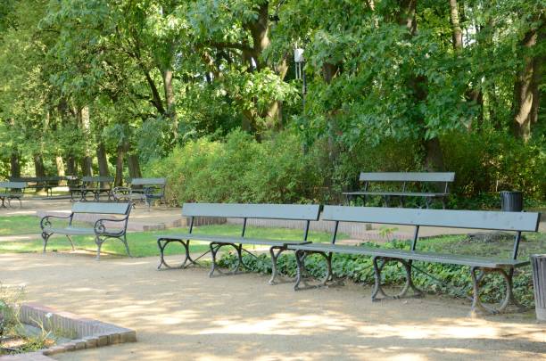 istock Green benches in park 1058460520