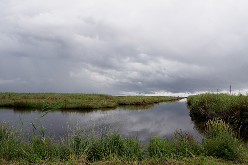 Grass and clouds reflected in Louisiana baypu