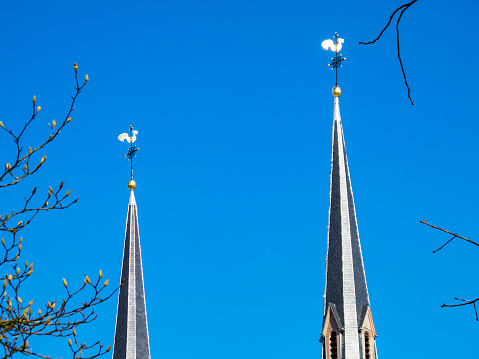 The two church spires of the Parish Church of St. Lawrence in Diekirch, Luxembourg topped by weathercocks against a clear blue sky and March budding tree branches