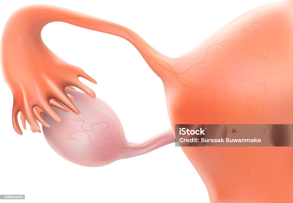 Pregnancy Showing results as 3 pictures or illustrations. Pregnancy. illustrations. Cancer - Illness stock illustration