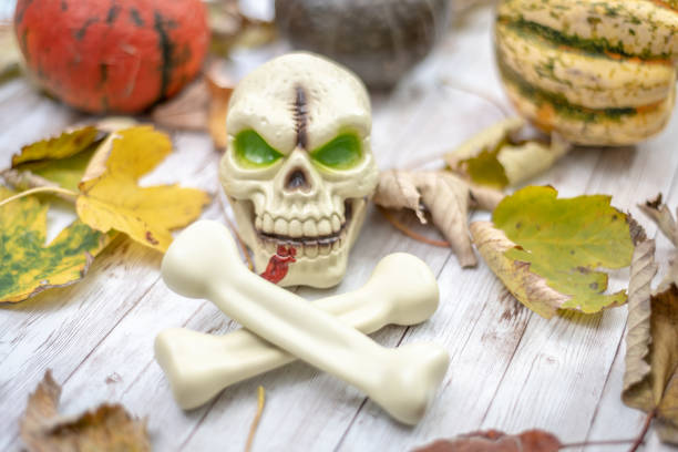 Skull and crossbones and autumn leaves