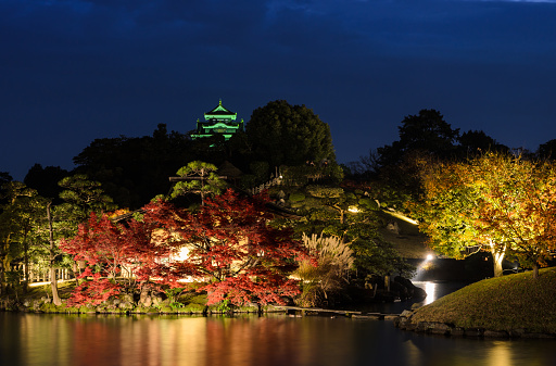 Okayama, Japan - November 18, 2016: Stunning night illumniation autumn color of Korakuen, Japanese garden in Okayama, Japan. Korakuen is one of Japan’s three most celebrated gardens.