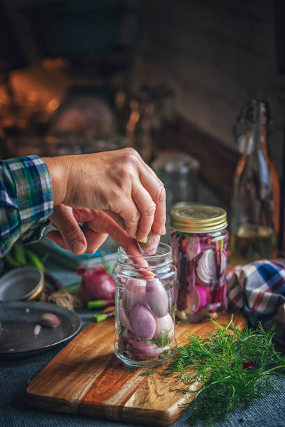 erhaltung der bio rote zwiebeln und rote zwiebeln in gläser - preserves pickle jar relish stock-fotos und bilder