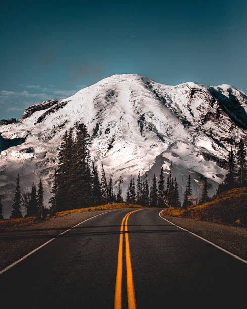 At an elevation of 6,400 feet, Sunrise is the highest point that can be reached by vehicle at Mount Rainier National Park.