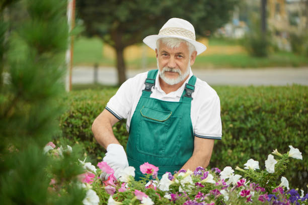 istock Male worker gardener pruning plants and flowers. 1058477242
