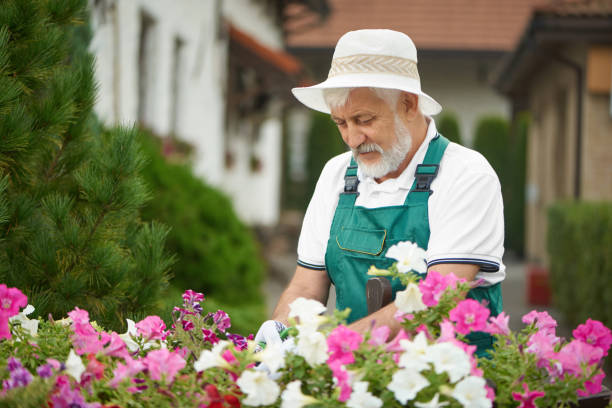 istock Senior male worker, pruning plants and flowers. 1058477274