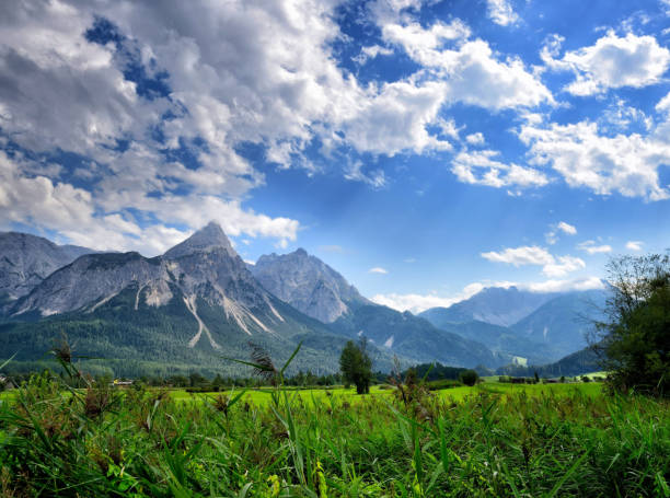 paisagem de montanha nos alpes de verão. vista a ehrwalder stern (tirol, áustria) - sonnenspitze - fotografias e filmes do acervo