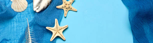 istock Marine blue background with seashells and starfish in fishing nets with place for your text, border design panoramic banner 1058479280