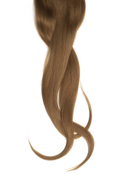 istock Brown hair isolated on white background. Long beautiful ponytail 1058480442