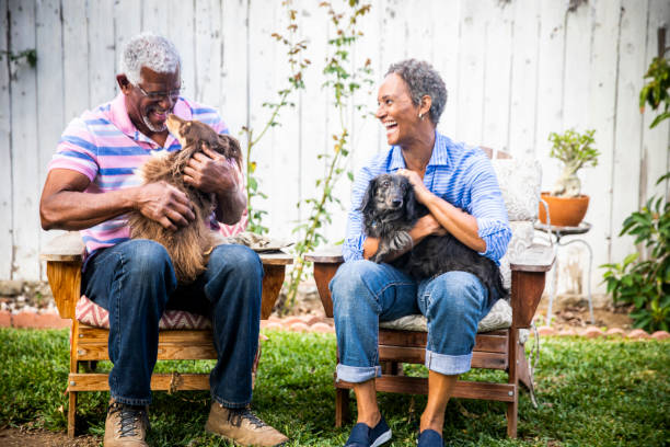 istock Senior Black Couple with their Dogs 1058486516