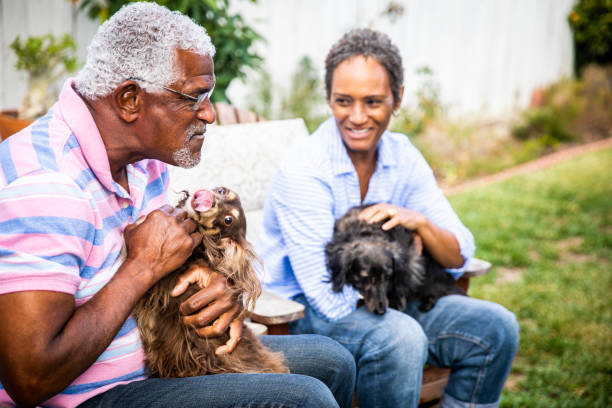 istock Senior Black Couple with their Dogs 1058486522