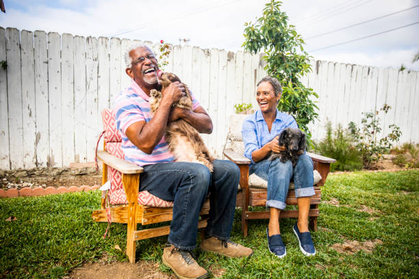 Senior Black Couple with their Dogs A senior black couple playing outdoors with their two dachshunds senior dog stock pictures, royalty-free photos & images