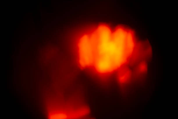 istock Abstract bokeh glitter on defocused background. Blurred bright light on black 1058498696