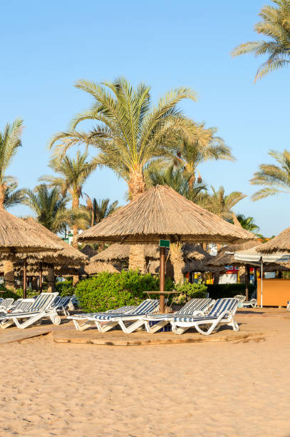 istock Beach chairs and umbrellas at sea beach. 1058499226