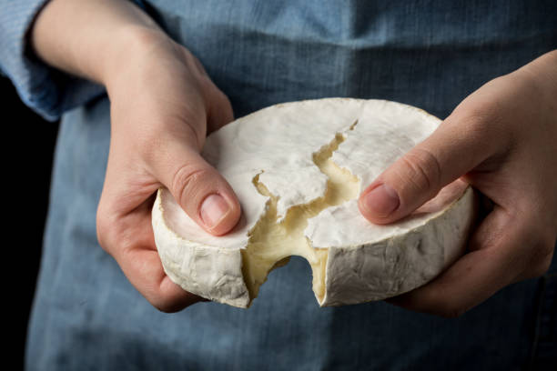 Woman in blue apron holding soft french camembert cheese on dark background stock photo