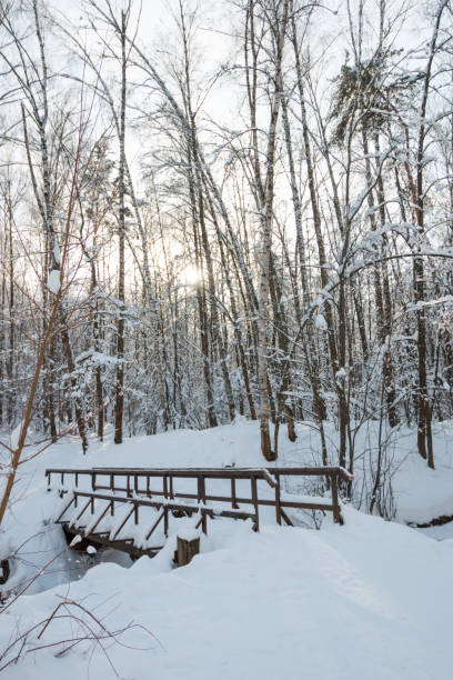 istock Winter forest, daytime, landscape, snow 1058507618