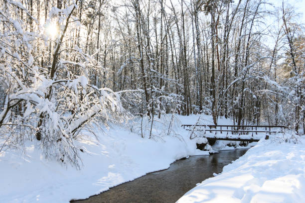 istock Winter forest, daytime, landscape, snow 1058507776