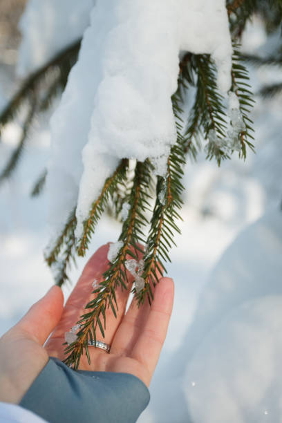 istock Winter forest, daytime, landscape, snow 1058507778