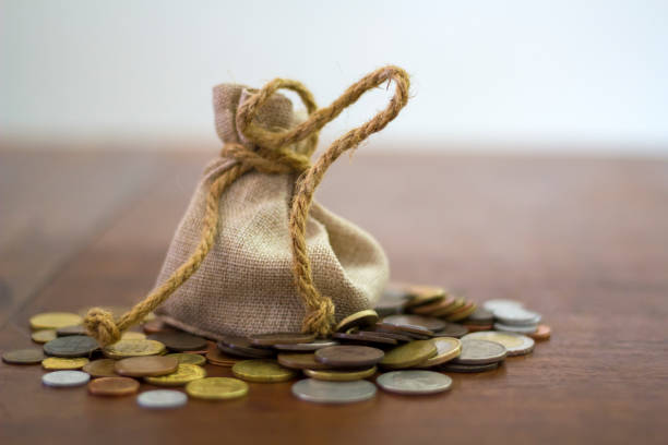 istock Money bag and coins 1058508422