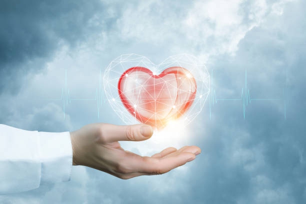istock A bright red heart is flying above the doctor's hand with the slight cardiac waveforms . 1058510316