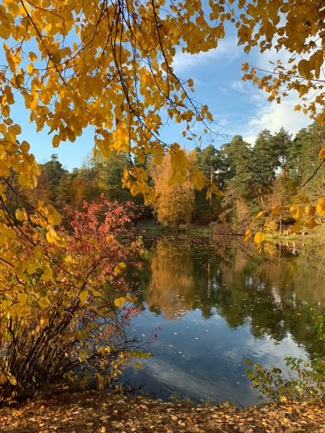 istock Colorful park view in the fall 1058513256