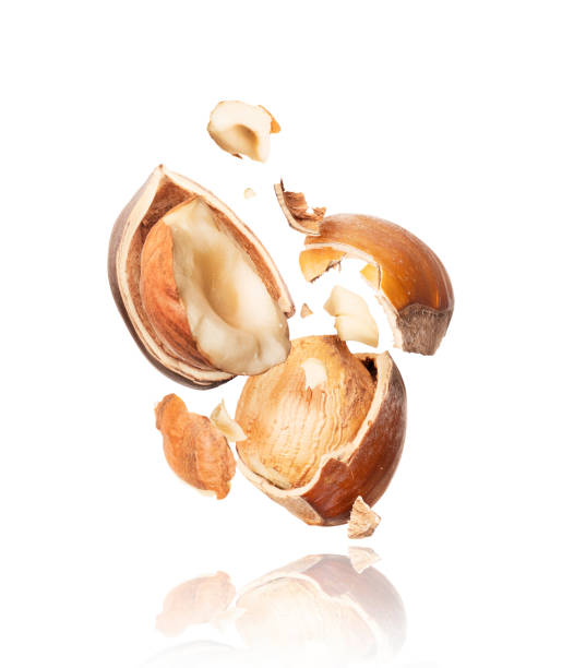istock Hazelnuts crushed in the air on white background 1058513298