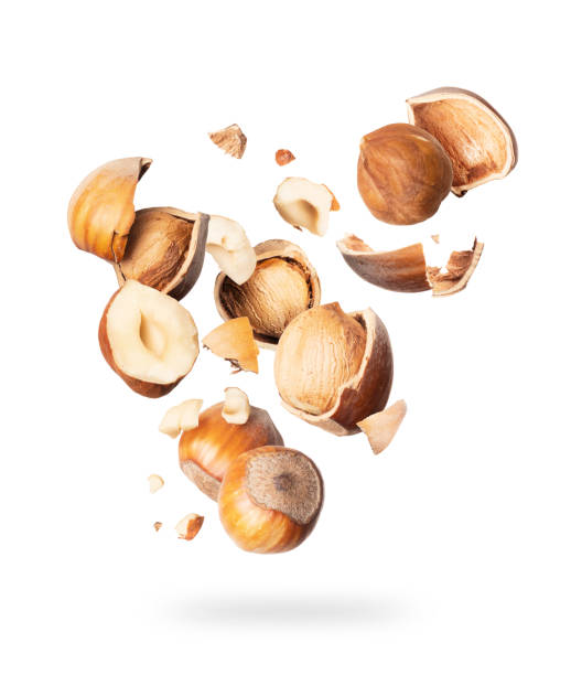 istock Hazelnuts crushed in the air close-up  isolated on white background 1058513302