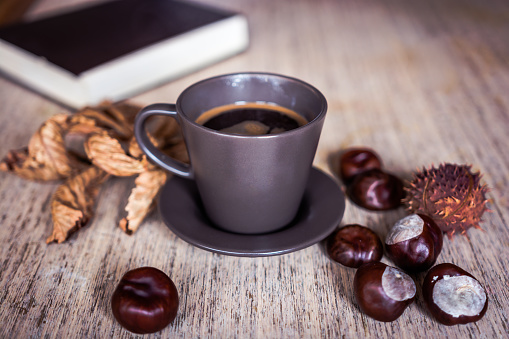 Autumn, Chestnut, Coffee - Drink, Cup