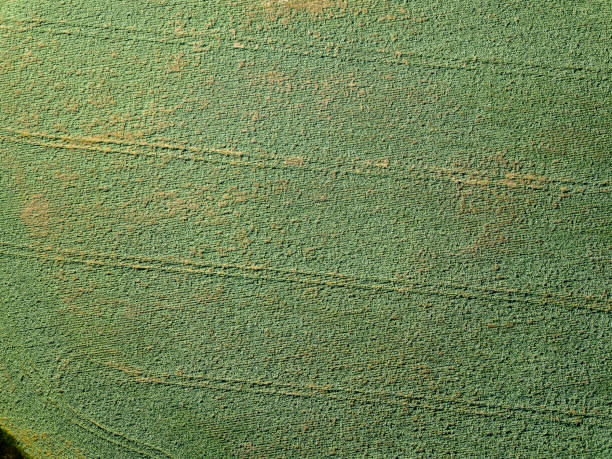istock drone image. aerial view of rural area with fields and forests in autum 1058516862