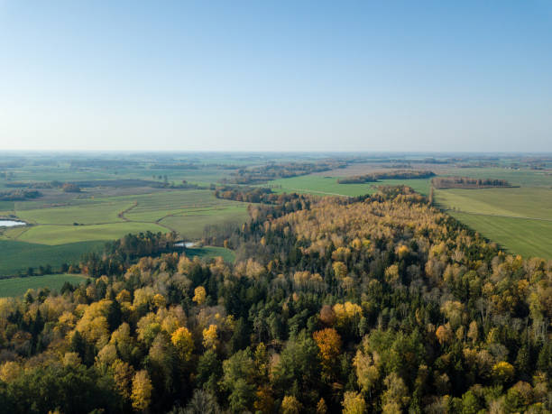istock drone image. aerial view of rural area with fields and forests in autum 1058517340