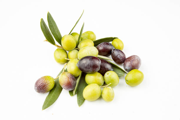istock Fresh green olive on the white background. 1058518386