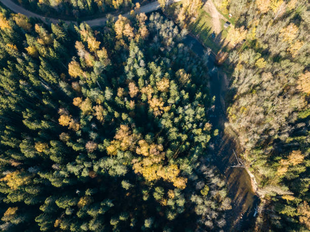 istock drone image. aerial view of wavy river in autumn colored forest 1058518554