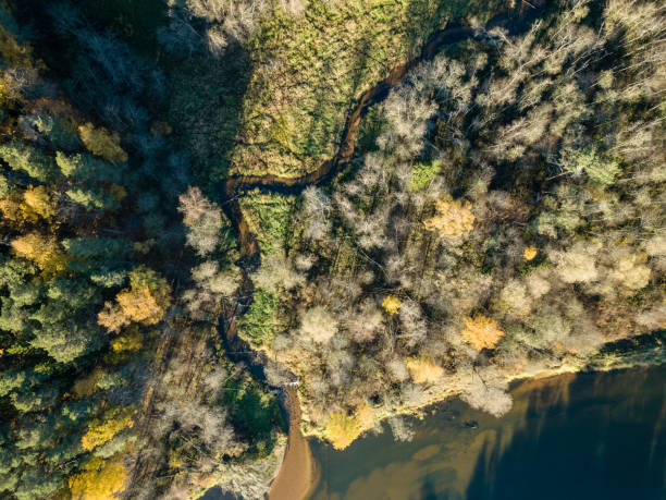 istock drone image. aerial view of wavy river in autumn colored forest 1058518806