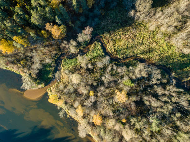 istock drone image. aerial view of wavy river in autumn colored forest 1058518820