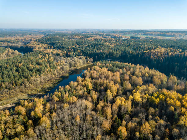 istock drone image. aerial view of wavy river in autumn colored forest 1058518908