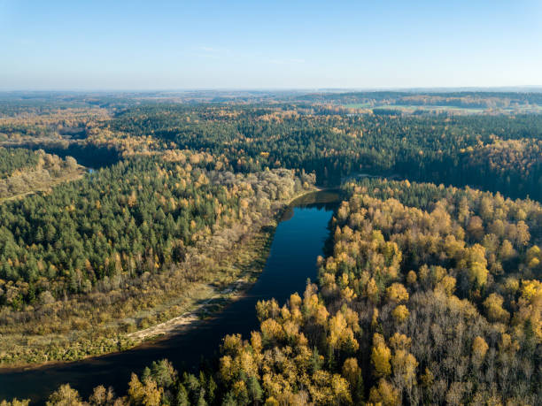 istock drone image. aerial view of wavy river in autumn colored forest 1058518932