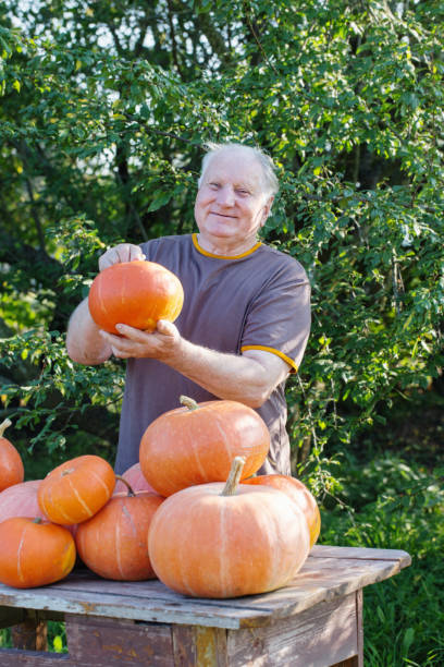 istock elderly men with pumpinks outdoor 1058522262