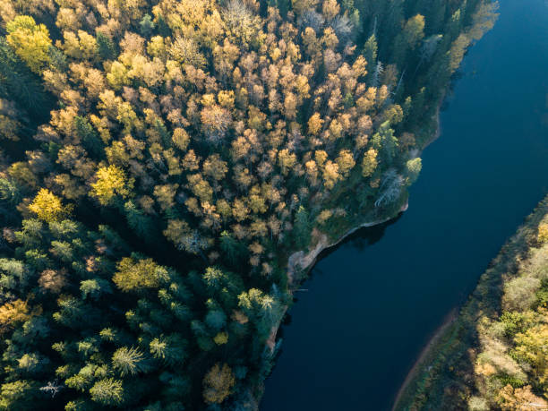 istock drone image. aerial view of wavy river in autumn colored forest 1058523248