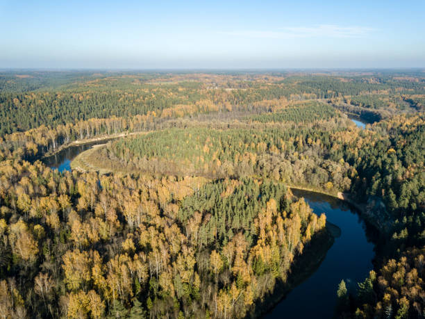 istock drone image. aerial view of wavy river in autumn colored forest 1058523252