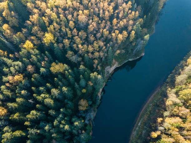 istock drone image. aerial view of wavy river in autumn colored forest 1058523256